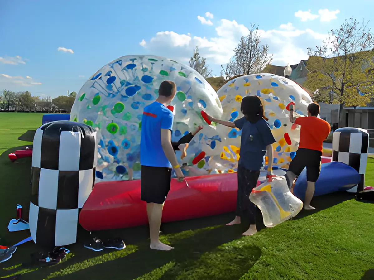 Hamster Balls & Cross Track Interactive Game