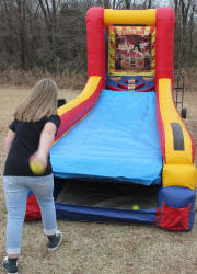 Skee-Ball Game